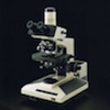 Brightfield microscope