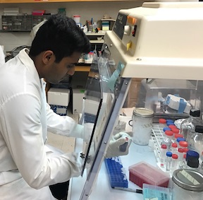 Pipetting in fume hood